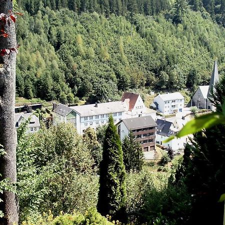Gasthof Rodachtal Mit Gaestehaus Katharina Schwarzenbach am Wald Extérieur photo