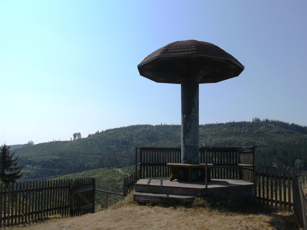 Gasthof Rodachtal Mit Gaestehaus Katharina Schwarzenbach am Wald Extérieur photo