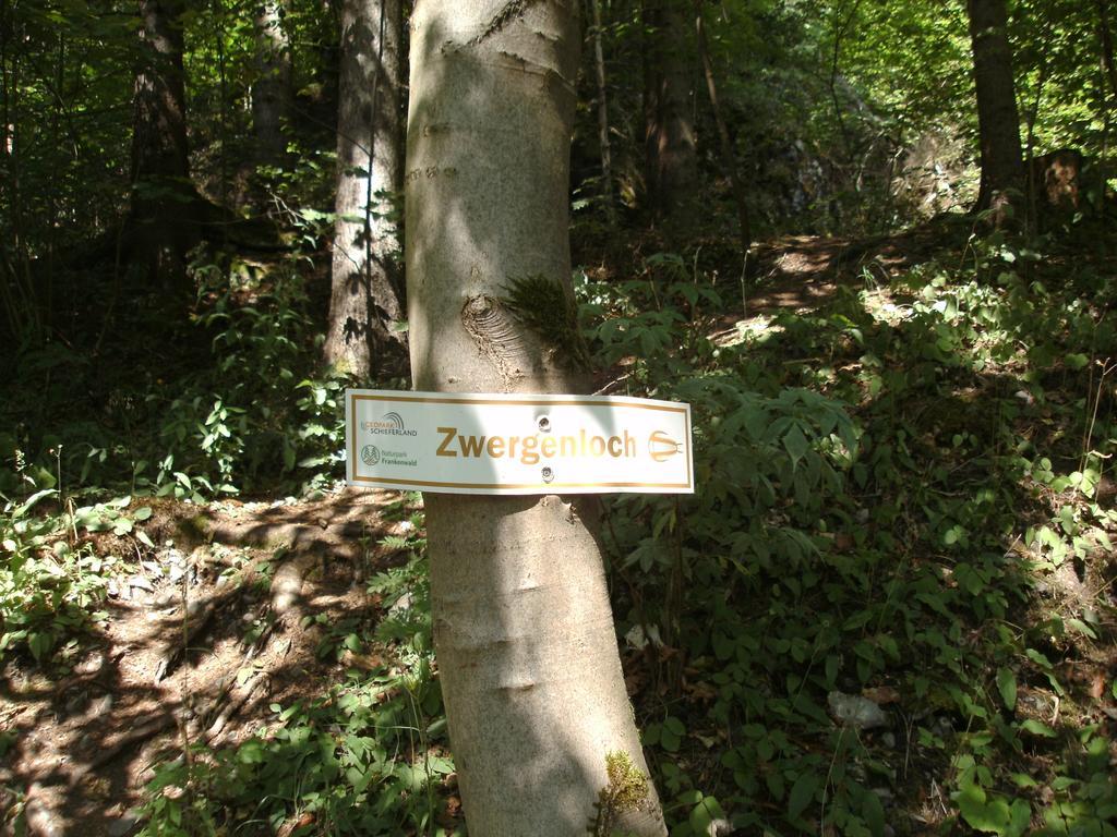 Gasthof Rodachtal Mit Gaestehaus Katharina Schwarzenbach am Wald Extérieur photo